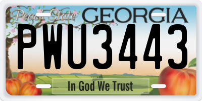 GA license plate PWU3443