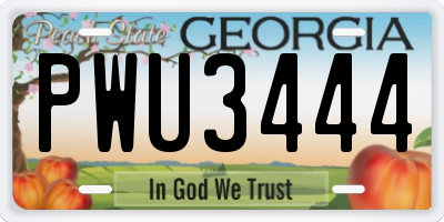 GA license plate PWU3444