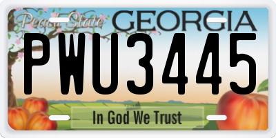 GA license plate PWU3445