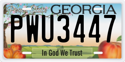 GA license plate PWU3447