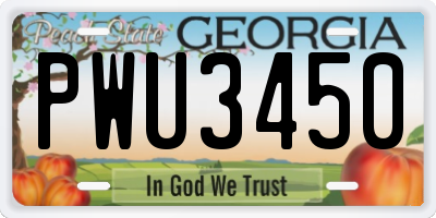 GA license plate PWU3450