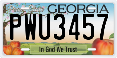 GA license plate PWU3457