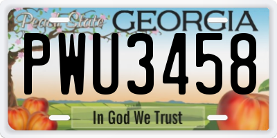 GA license plate PWU3458