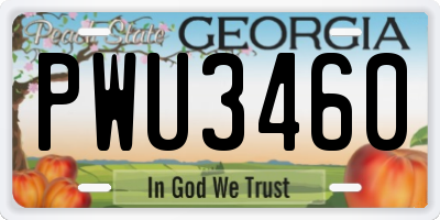GA license plate PWU3460