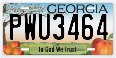GA license plate PWU3464