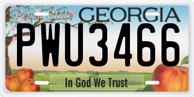 GA license plate PWU3466
