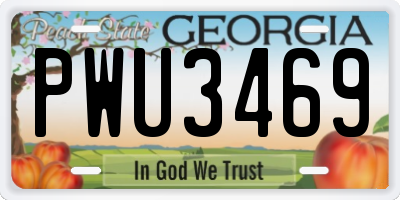 GA license plate PWU3469