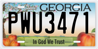 GA license plate PWU3471