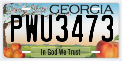 GA license plate PWU3473