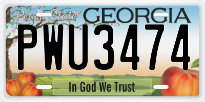 GA license plate PWU3474