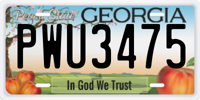GA license plate PWU3475