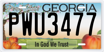 GA license plate PWU3477
