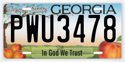 GA license plate PWU3478