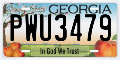 GA license plate PWU3479
