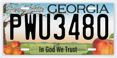 GA license plate PWU3480