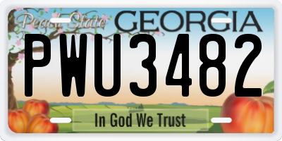GA license plate PWU3482