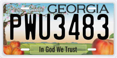 GA license plate PWU3483