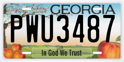 GA license plate PWU3487