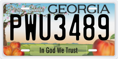 GA license plate PWU3489
