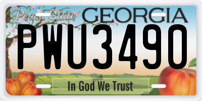 GA license plate PWU3490