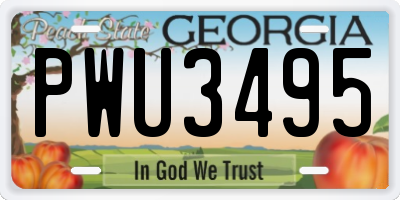 GA license plate PWU3495