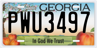 GA license plate PWU3497