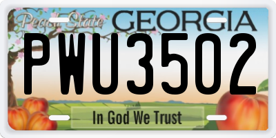 GA license plate PWU3502