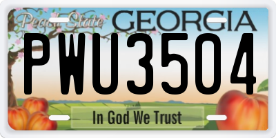 GA license plate PWU3504