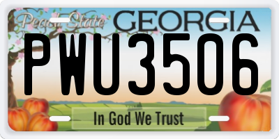 GA license plate PWU3506