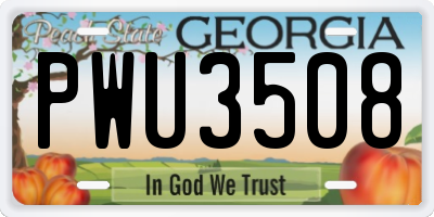 GA license plate PWU3508