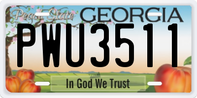 GA license plate PWU3511