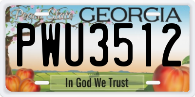 GA license plate PWU3512