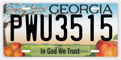 GA license plate PWU3515