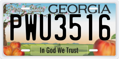 GA license plate PWU3516