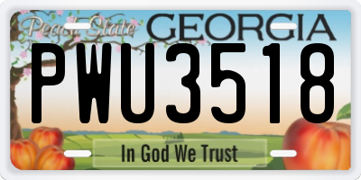 GA license plate PWU3518