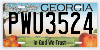 GA license plate PWU3524