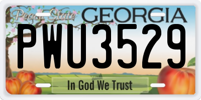GA license plate PWU3529