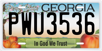 GA license plate PWU3536