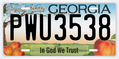 GA license plate PWU3538