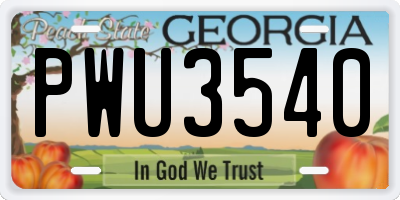 GA license plate PWU3540