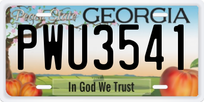 GA license plate PWU3541