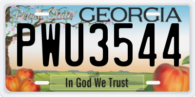 GA license plate PWU3544