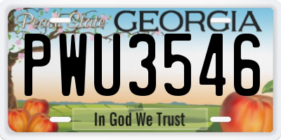 GA license plate PWU3546