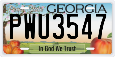 GA license plate PWU3547
