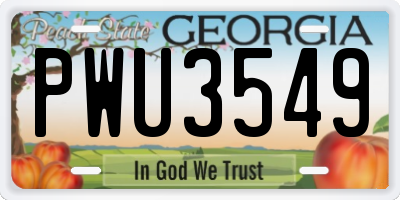 GA license plate PWU3549