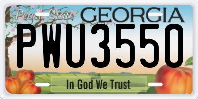 GA license plate PWU3550
