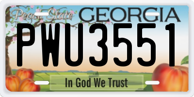 GA license plate PWU3551