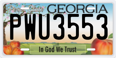 GA license plate PWU3553