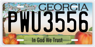 GA license plate PWU3556