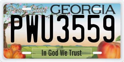 GA license plate PWU3559